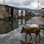 Matthew ha golpeado con fuerza.