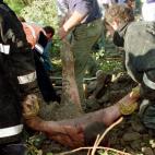 610d01bc41000002a181d5ec