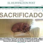 5c8b7d472400006b054d9c9d