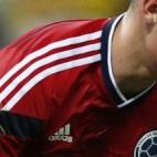 El Mundial de Brasil fue de James, sí, pero no solo por su juego: este enorme saltamontes que se posó en su brazo en pleno partido se convirtió en su acompañante en las fotos que dieron la vuelta al mundo