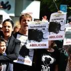 5c8b32183b000054066d33d0