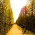 Este rincón no necesita ninguna presentación, pero no está de más que recordar que es un placer visitar este rincón cercano a la capital francesa durante cualquier época del año. En otoño, sus famosos jardines cambian de color día a dí...