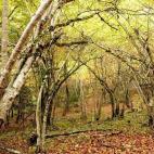 Como explica la autora de la foto, "hablamos de un parque de 395.000 hectáreas, o sea, de uno de los más grandes de Francia, que se extiende por dos departamentos administrativos (Cantal y Puy-de-Dome). En otras palabras: un paraíso para los ...
