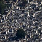 5c8ad11a360000c81a6c2004