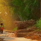 (c) Ho Doan Viet Thong, Vietnam, Entry, Open Competition, 2015 Sony World Photography Awards