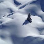 (c) Scott Pattenden, Reino Unido, Entry, Open Competition, 2015 Sony World Photography Awards