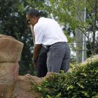 5c8b60d322000031001ac103