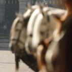 5c8b5d312000009e04709231