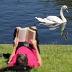 Tu cerebro necesita mucho oxígeno para funcionar a niveles óptimos, así que beber suficiente agua asegura que reciba lo que necesita. De hecho, consumir de ocho a 10 tazas de agua diarias podría mejorar tus niveles de desempeño cognoscitivo...