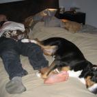 5c8a8c2720000045046f4944