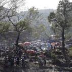 5c8b61bd2000004504709edf