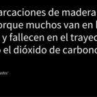 5c8a5f5e2500001304c8f74e