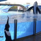 5c8b383b2500000704ca54b2