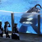 5c8b383b23000004012465e5