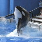 5c8b383c2300003000e7dbc9