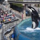 5c8b383c23000004012465e7