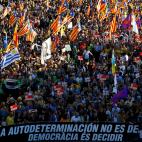 5c8f10b72300005400e869ef