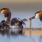 5f880aab2000009a05561ba0