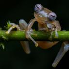 5f880aab2400005449d136c9