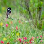 5f880aaa2000009a05561b9f