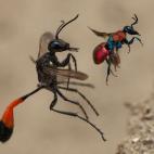 5f880aaa200000a305561b9d