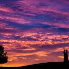 5c8a39892400006f054b95b5