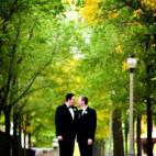 5c8a398a3b000070066bb599