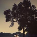 5c8a398b2400004205a2cded