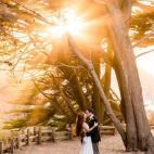 5c8a398d3b000037066bb5a3