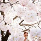 5c8a3990260000e104fe12dd