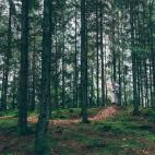 5c8a39913b000070066bb5af