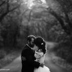 5c8a3992240000f404a2cdfb