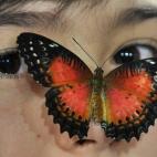 Una mariposa (Cethosia Biblis) se posa en la cara de una niña durante una exhibición de mariposas en Bishkek (Kirguistán).