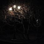 Las farolas se encienden entre un árbol cerca del lago de Issyk-Kul en Kirguistán.