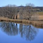 Vista del río Tajo en las inmediaciones de la localidad de Albalate de Zorita (Guadalajara). Las montañas que forman la Sierra de Altomira son suaves, pero se erigen sobre los páramos, los sotos, las llanuras y las amplísimas extensiones agr...