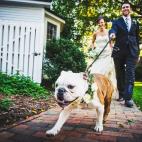 5c8a39a72400006d054b95f0