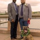 5c8a39a83b000054066bb5d5