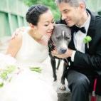 5c8a39a8260000f903fe1305