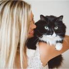 5c8a39a82500000d04c8c466