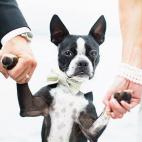 5c8a39a9360000ba1a6b337a