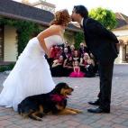 5c8a39a920000043046ee224