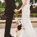 5c8a39aa3b000037066bb5db