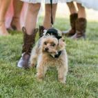 5c8a39aa3b000054066bb5dd