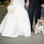 5c8a39ab2400006f054b95f6