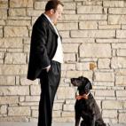 5c8a39ac260000f903fe130d