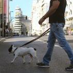 5c8a81c12500000704c91e63