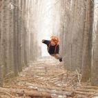 5c8a83912300005300e6a807