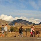 5c8a8393360000a61b6b8fe9