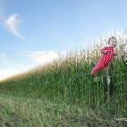 5c8a8397360000ba1a6b8ff5