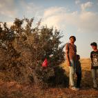 Muchos de los refugiados son varones que llegan en grupos, por lo que se cree que son soldados afganos.